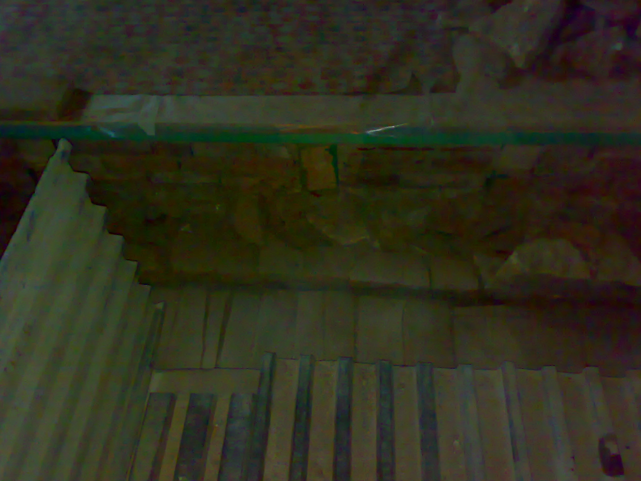 020820091335.jpg